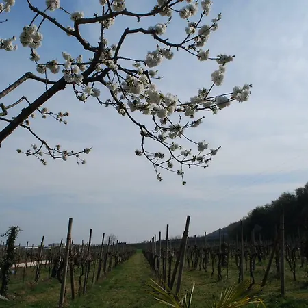 Farm stay Il Rovere