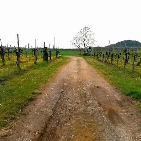 Farm stay Il Rovere Lonato